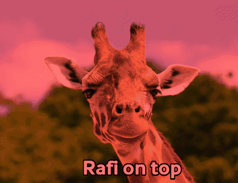 Rafi On Top GIF - Rafi On Top GIFs