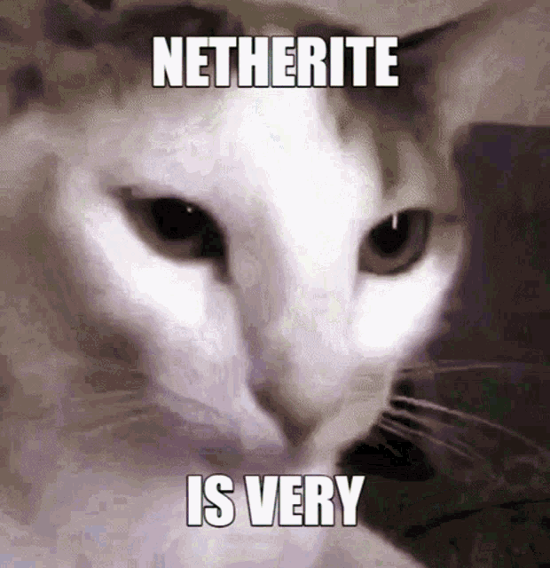 Netherite Cat GIF - Netherite Cat Nether Is Very GIFs