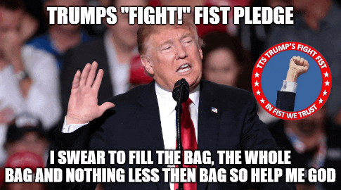 a picture of donald trump giving a speech with a fist in the air