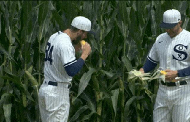 Dylan Cease Corn GIF - Dylan Cease Corn GIFs