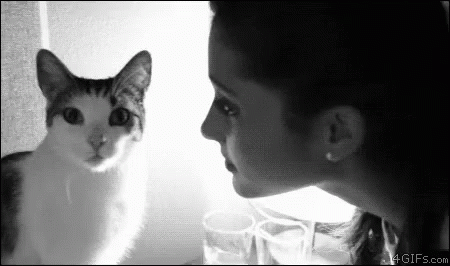 Cat Kisses GIF - Kisses Cats Ariannagrande GIFs