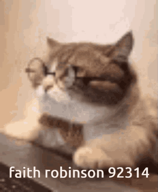 a cat wearing glasses and the name faith robinson 92 314