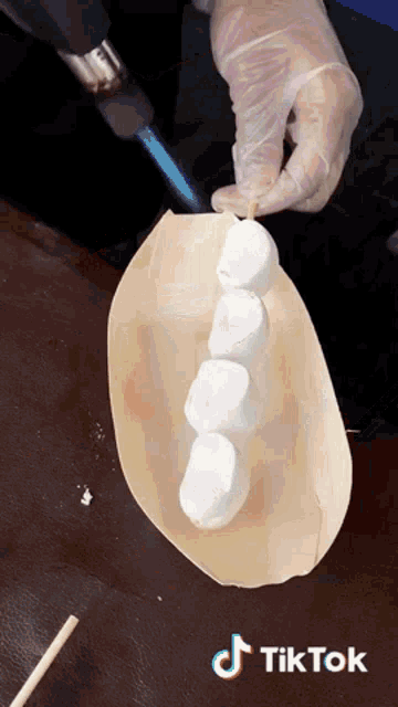 a person is cooking marshmallows on a stick with a torch and a tiktok logo on the bottom
