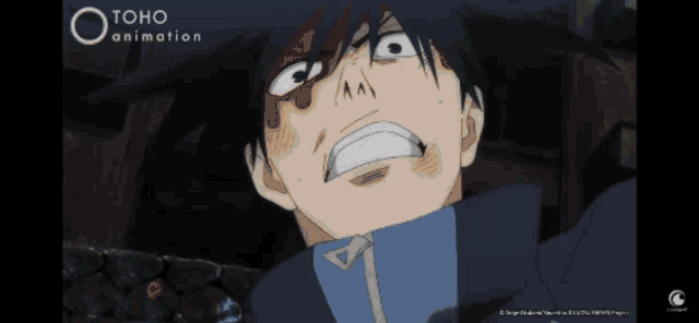 a close up of a person 's face with toho animation written in the corner