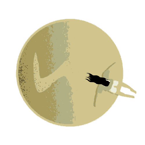 a woman is laying on a sandy beach in a circle