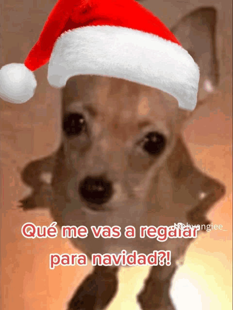 a small dog wearing a santa hat with the words " qué me vas a regalar para navidad "