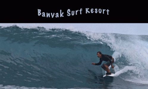 Banyak Surf Resort GIF - Banyak Surf Resort GIFs