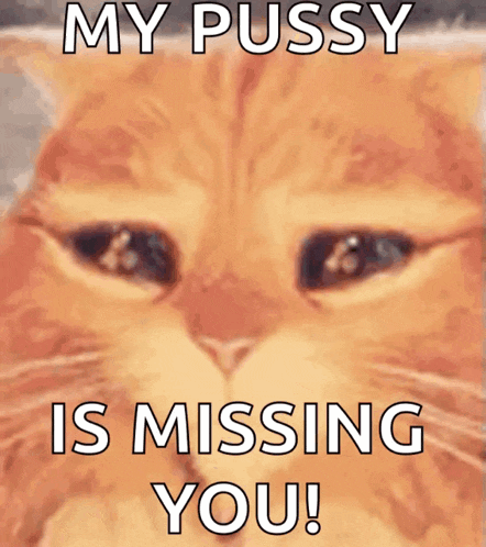 a close up of a cat with the words " my pussy is missing you " on it