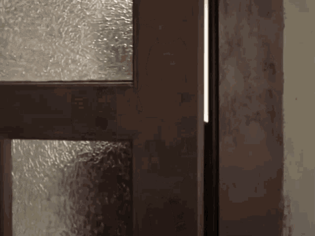 a person is standing in a doorway with a glass door .