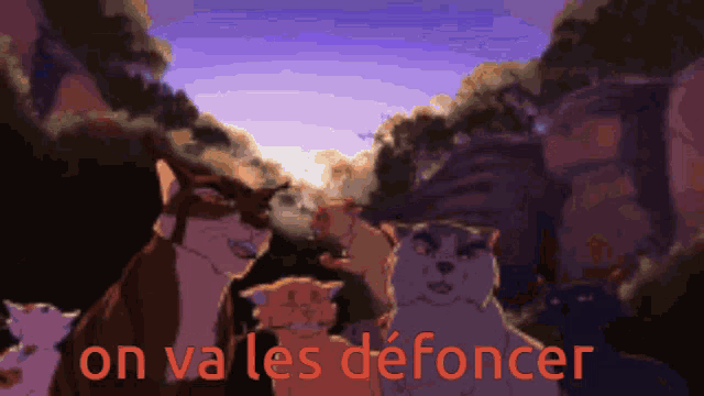 a group of cats with the words on va les defoncer