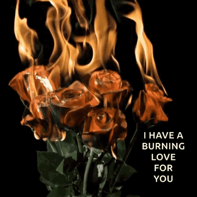a bunch of burning roses with the words " i have a burning love for you " on the bottom