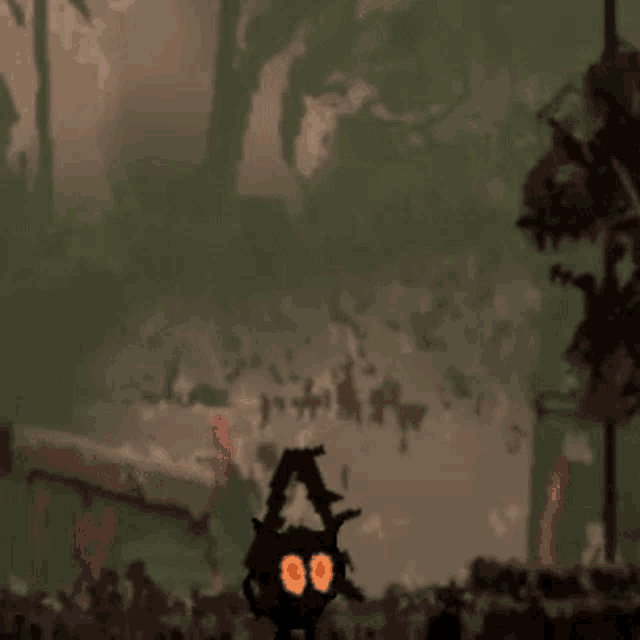 a black cat with orange eyes is standing in a dark forest