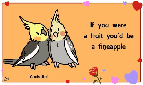 two cockatiels are kissing on a card that says if you were a fruit you d be a fineapple
