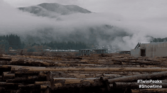 a pile of logs in front of a mountain with #twinpeaks showtime