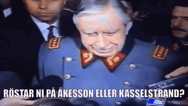 Jimmieåkesson Gustav Kasselstrand GIF - Jimmieåkesson Gustav Kasselstrand Sverigedemokraterna GIFs