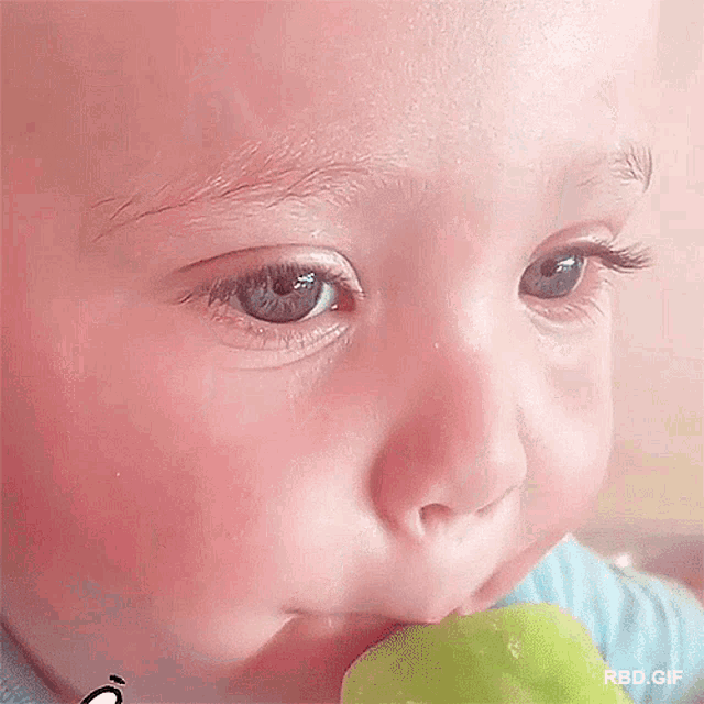 a close up of a baby eating a green apple with rbd.gif below it