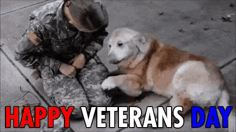 Happy Veterans Day Soliders GIF - Happy Veterans Day Veterans Day Veterans GIFs