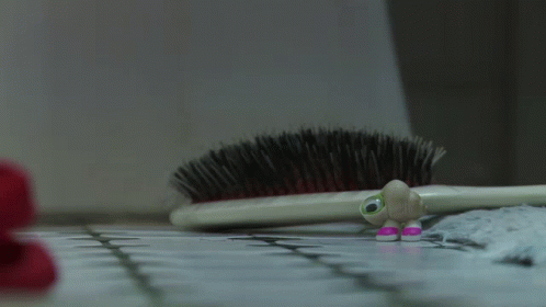 Marcel Marcel The Shell GIF - Marcel Marcel The Shell With Shoes On GIFs