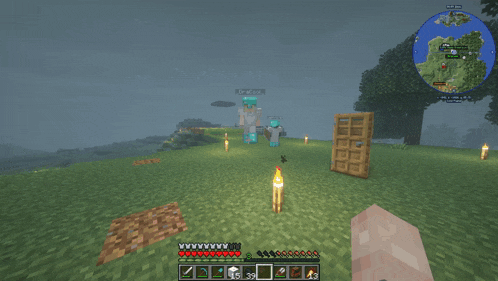 a screenshot of a minecraft game shows a person standing in a field with a torch