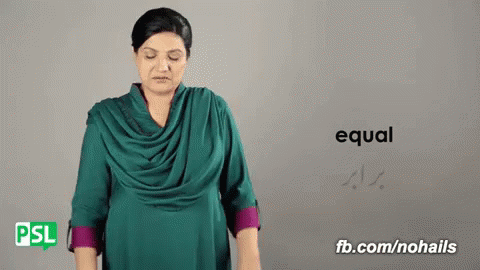 Equal Pakistan Sign Language GIF - Equal Pakistan Sign Language Nsb GIFs