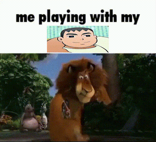 a picture of a lion with the words me playing with my above it