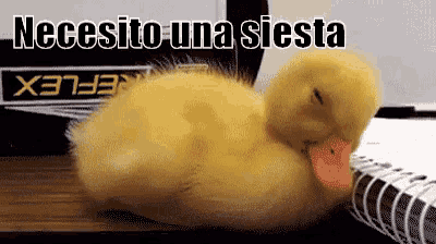 a small yellow duck is sleeping on a notebook with the words necesito una siesta written above it