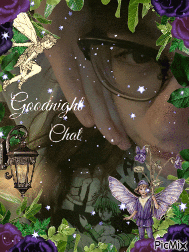 a picture of a person with the words goodnight chat