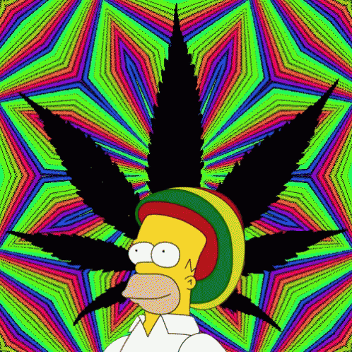 homer simpson wearing a rasta hat stands in front of a colorful marijuana leaf