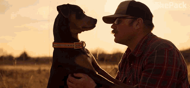 Pet The Pack GIF - Pet The Pack Amazon GIFs