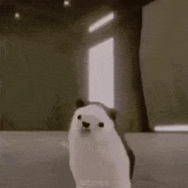 a white and black dog is standing in a room .