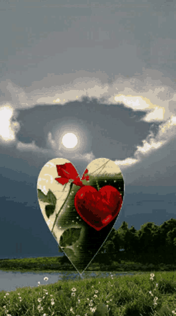 a picture of a heart with a rose on it in a field
