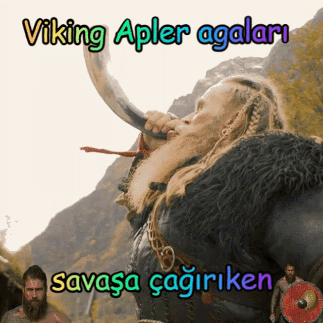 Apler Viking GIF - Apler Viking Agalar GIFs