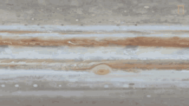 Big Red Spot Planet Jupiters Surface GIF - Big Red Spot Planet Jupiters Surface Planet Jupiter GIFs