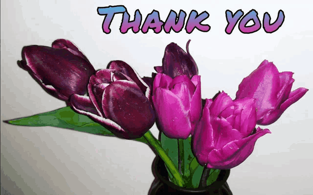 purple tulips in a vase with the words thank you written above them