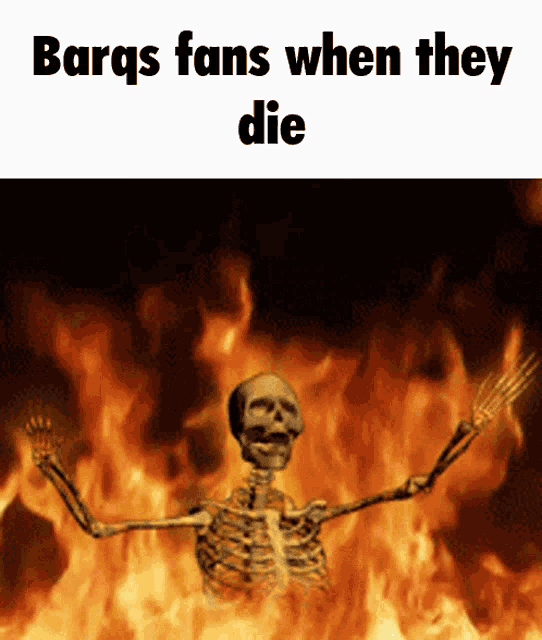 a skeleton is standing in front of a fire with the words " barqs fans when they die "