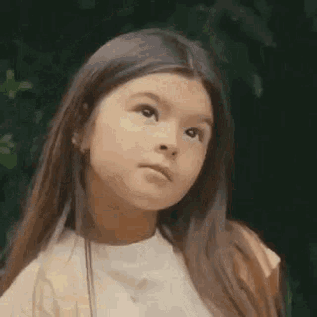 a young girl with long brown hair is looking at the camera .