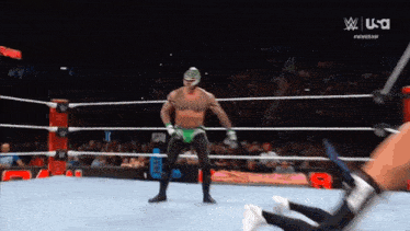 a man in a green mask is standing in a wrestling ring with a usa logo in the background