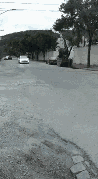 a car is driving down a street with trees on the side of it