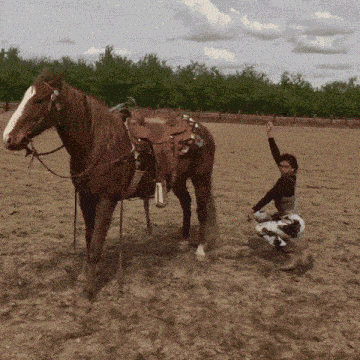 a woman kneeling next to a horse with a saddle on it