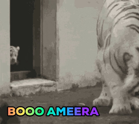 a white tiger is standing in front of a door with the words booo ameera on the bottom