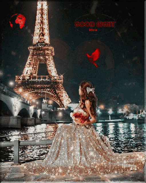 a woman in a long gold dress stands in front of the eiffel tower and says good night vica