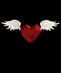 a red heart with white angel wings on it