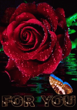 For You Butterfly GIF - For You Butterfly Rose GIFs
