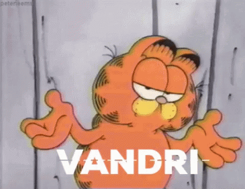 Garfield Vandri GIF - Garfield Vandri Deciditi GIFs
