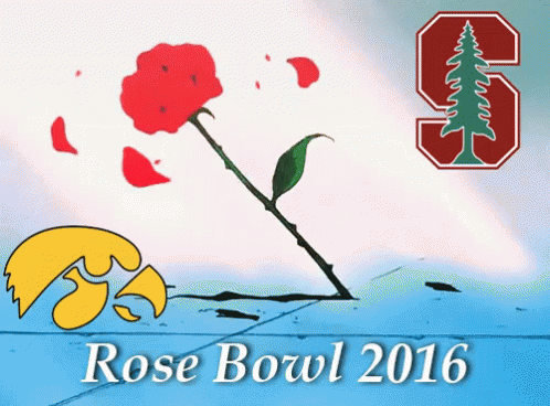 Rose Bowl 2016 GIF - Rosebowl Rose Bowl GIFs