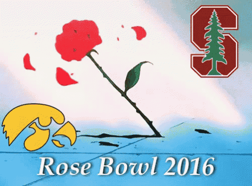 Rose Bowl 2016 GIF