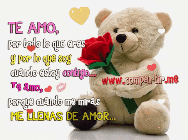 a teddy bear holding a red rose with the words te amo