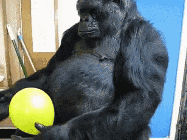 Gorilla Balloon GIF - Gorilla Balloon Playing GIFs