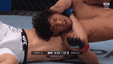 a ufc fight between rosas jr. and morales is underway