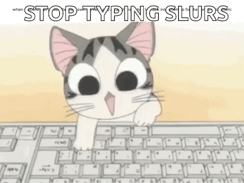 Hacker Cat Hacking GIF - Hacker Cat Hacking Discord GIFs